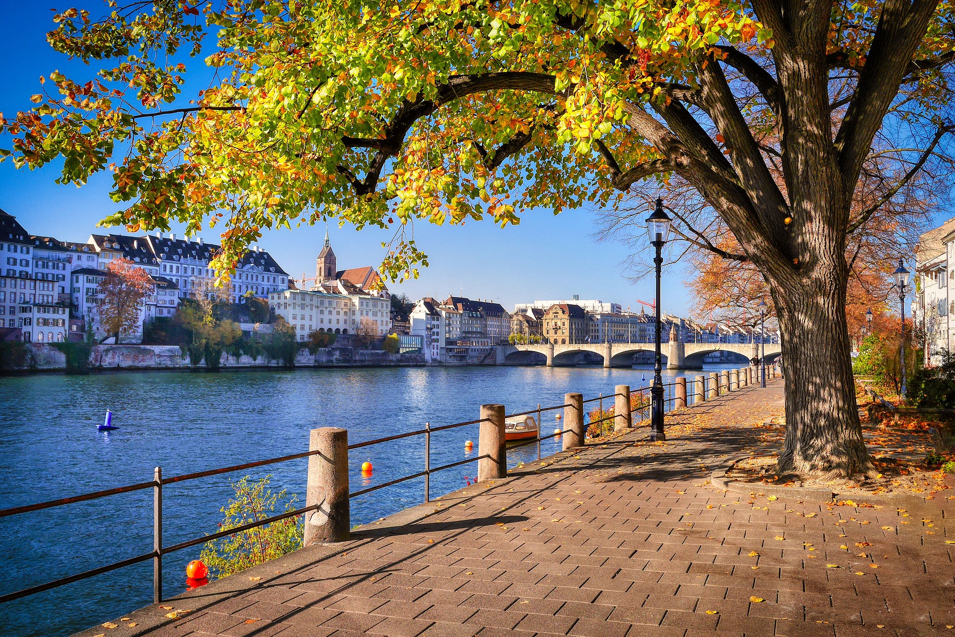 Rhein Ufer Basel
